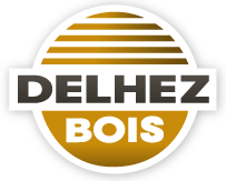 logo delhez
